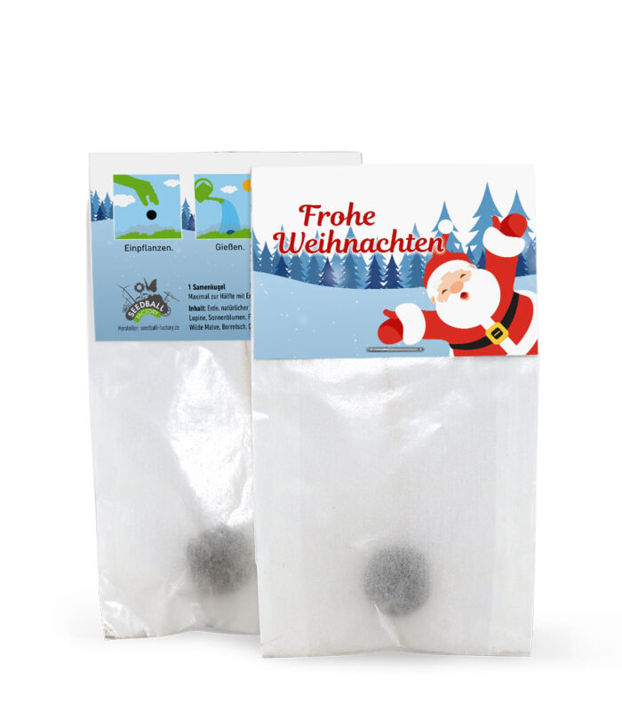 Samenkugel Weihnachten 1