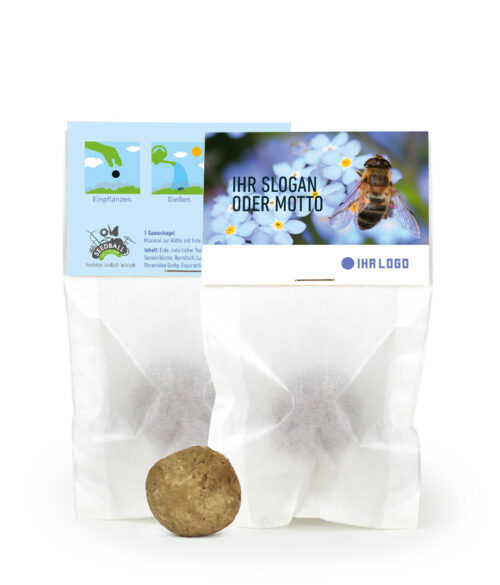 Samenkugel Designvorschlag 2