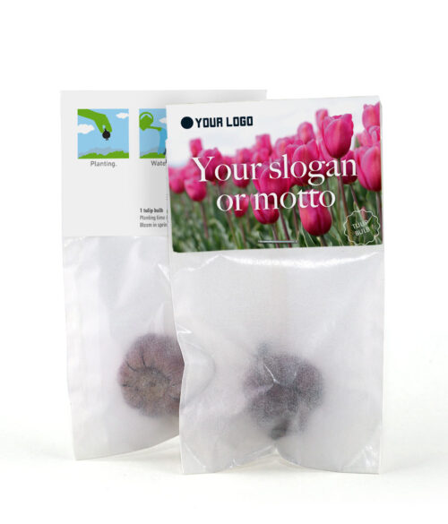 tulip bulb design template 4