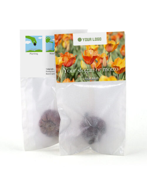 tulip bulb design template 6