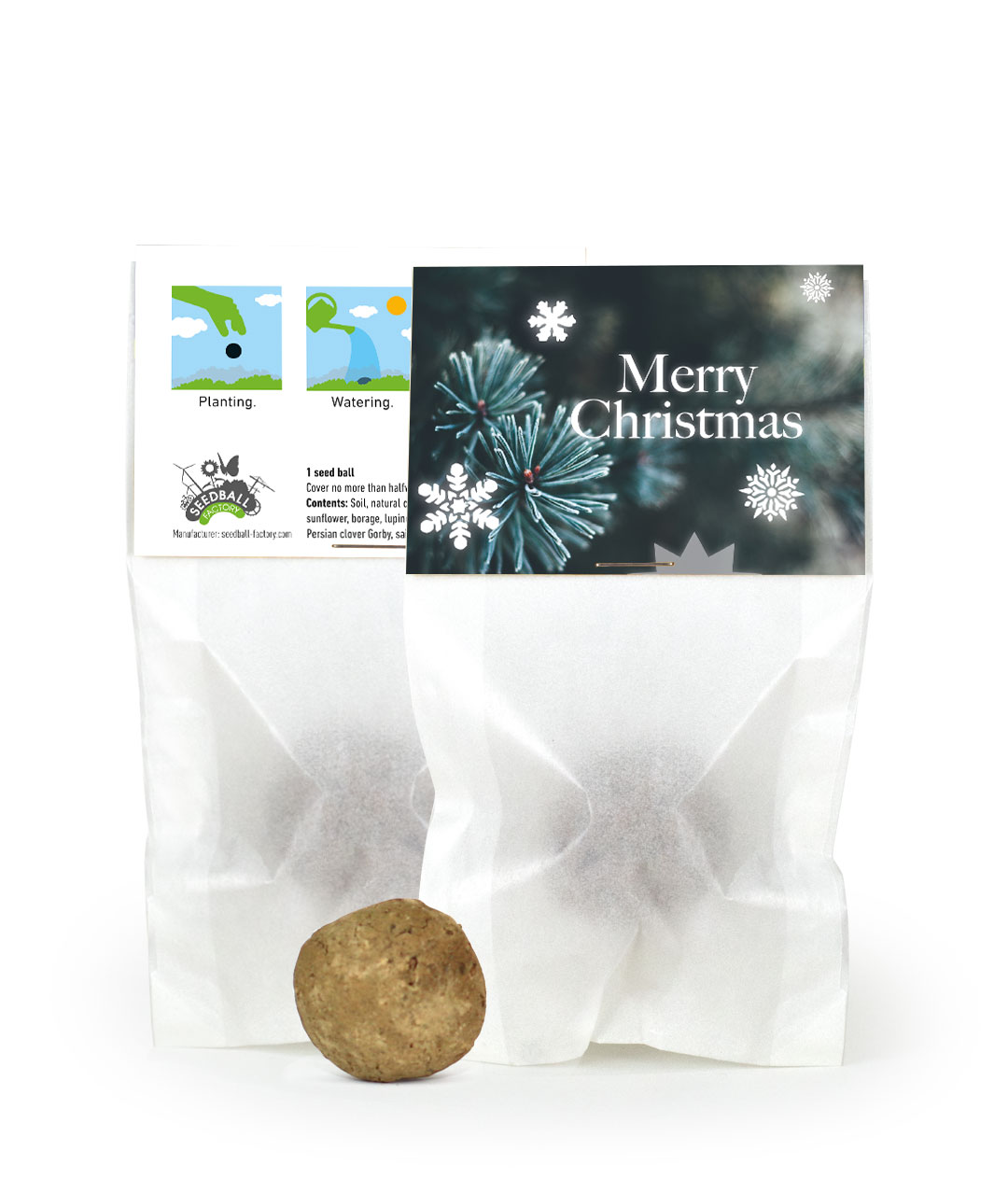 Seed Ball Christmas 3