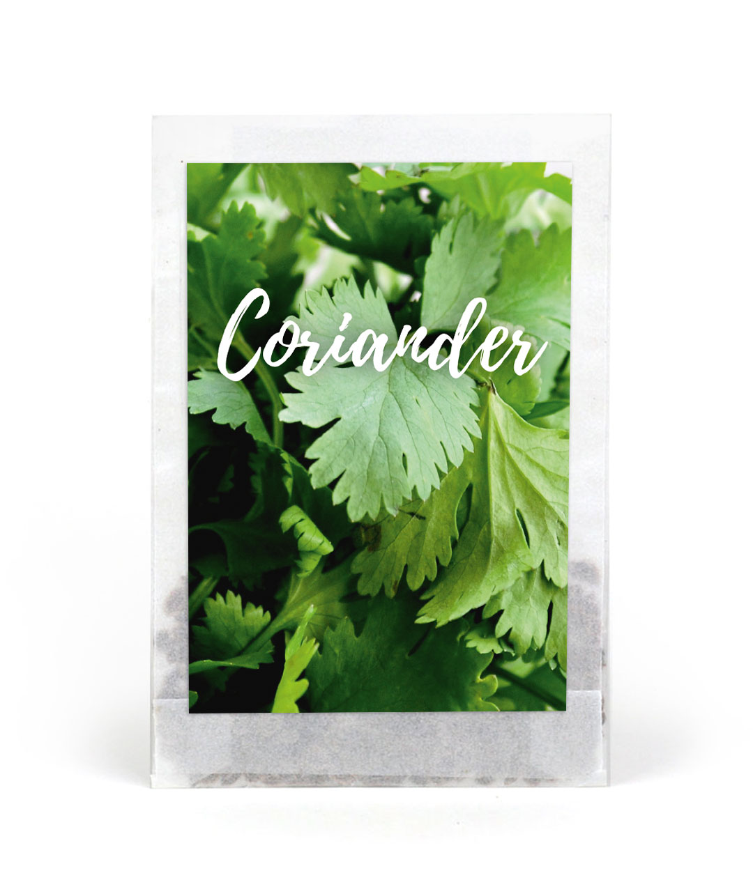 Seed packets without custom print | Coriander