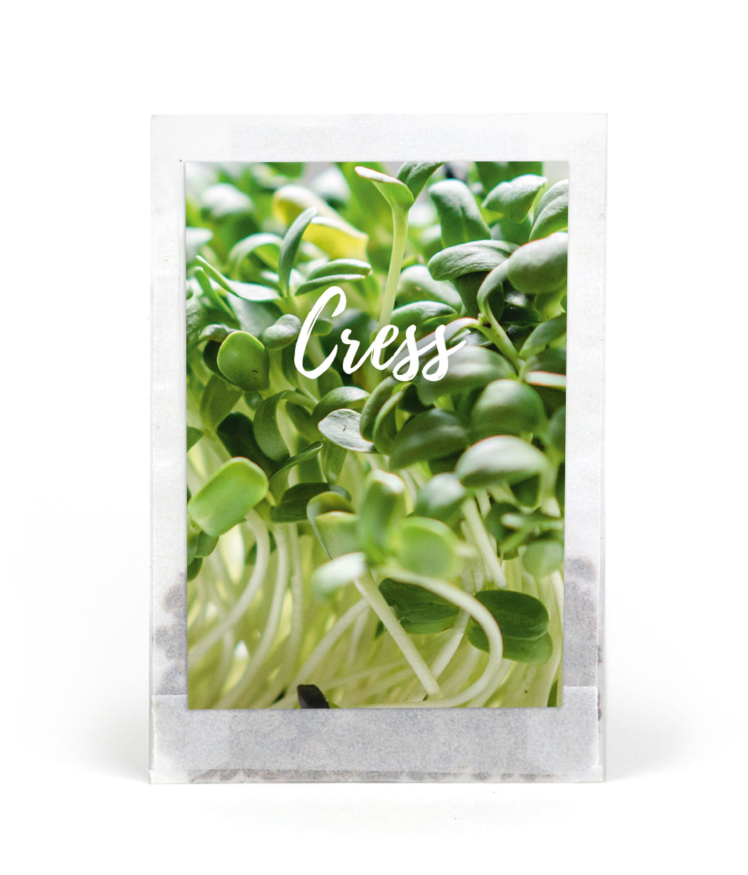 Seed packets without custom print | Cress