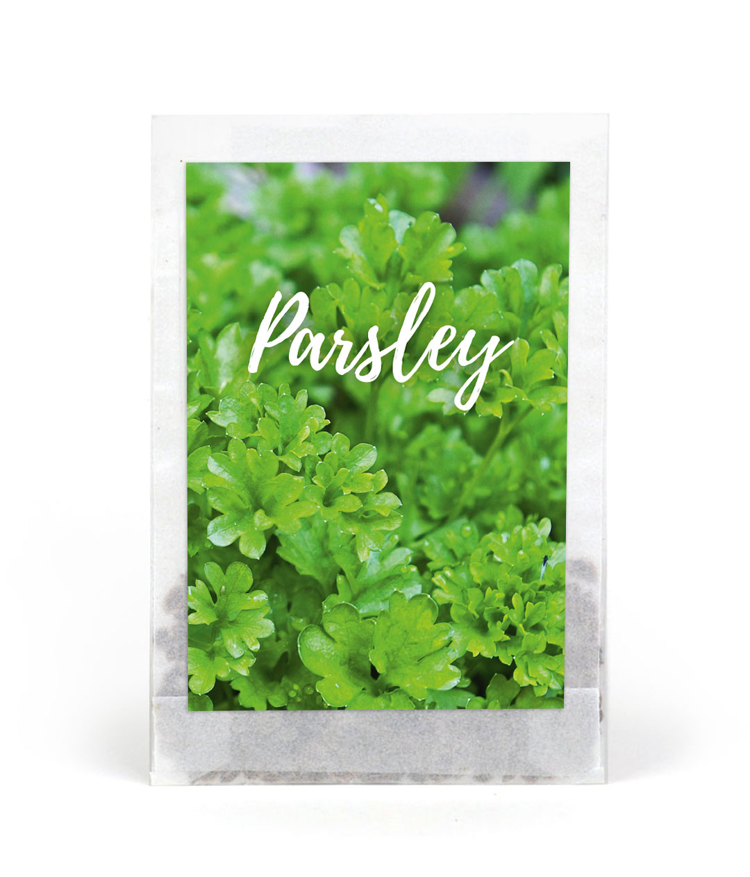 Seed Packet Parsley