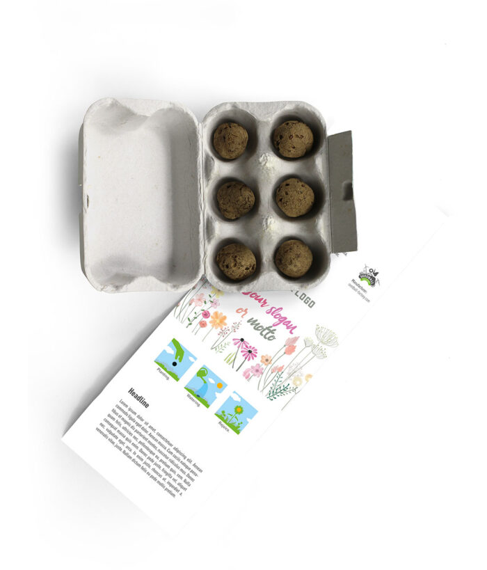 6 Seed Balls in a Mini Egg Carton - Design Template 2 - Image 4