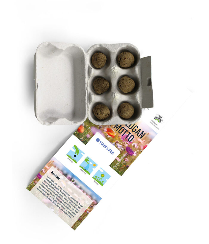 6 Seed Balls in a Mini Egg Carton - Design Template 3 - Image 4