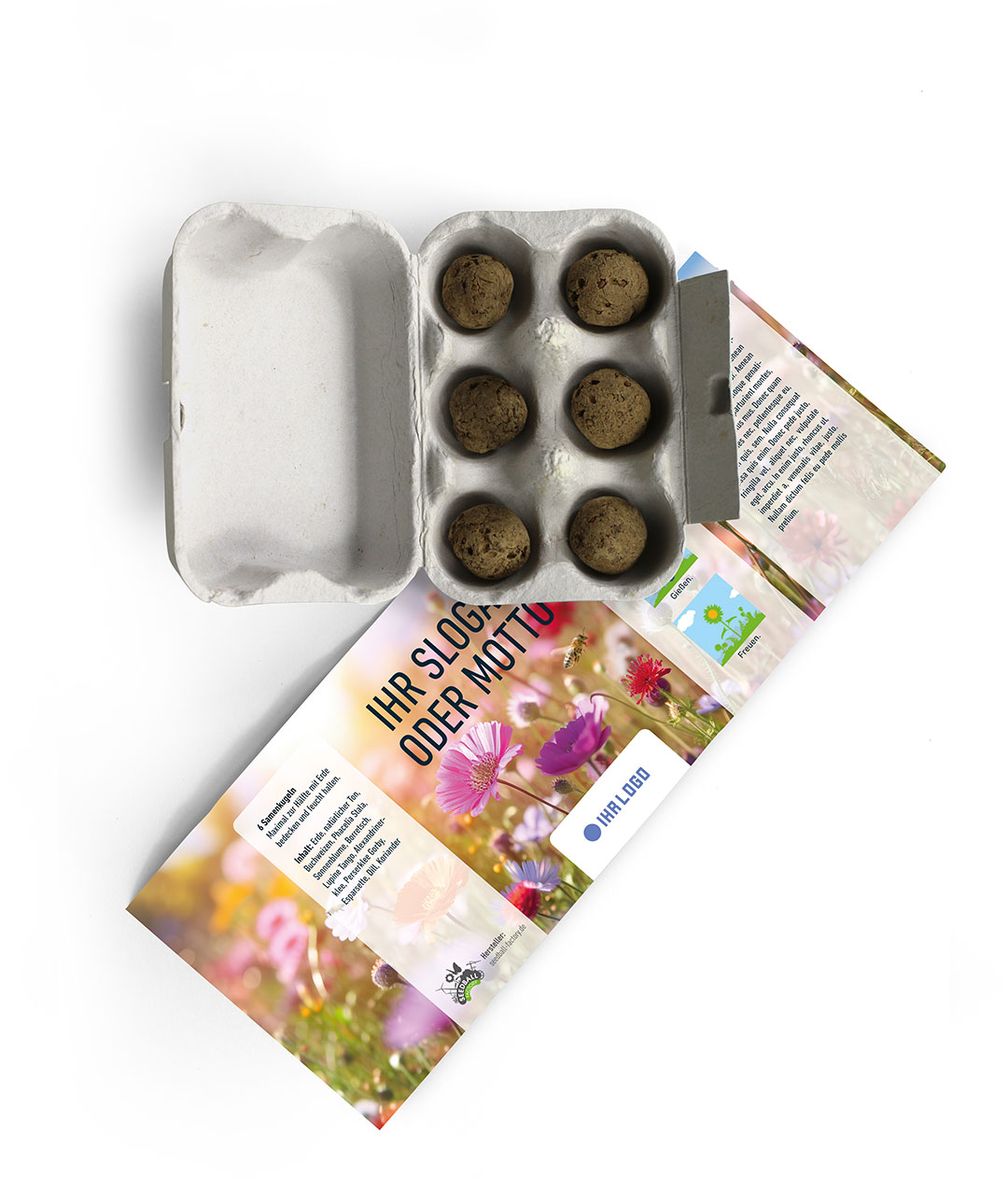 6 Seed Balls in Mini Egg Carton – Design Template 3 - Image 4