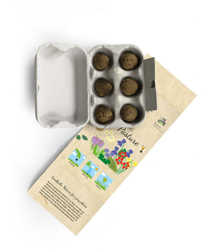 6 Seed Balls in Mini Egg Carton