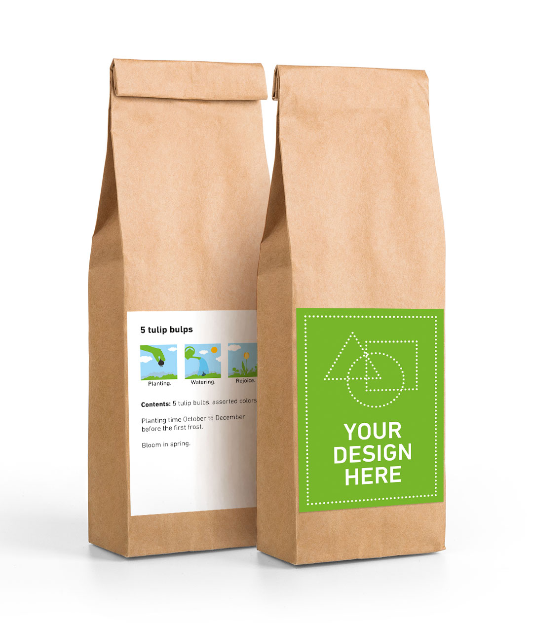 5 tulip bulbs in a paper bag