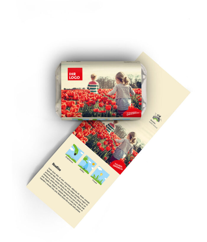 Caritas 6 Tulpenzwiebeln im Mini-Eierkarton
