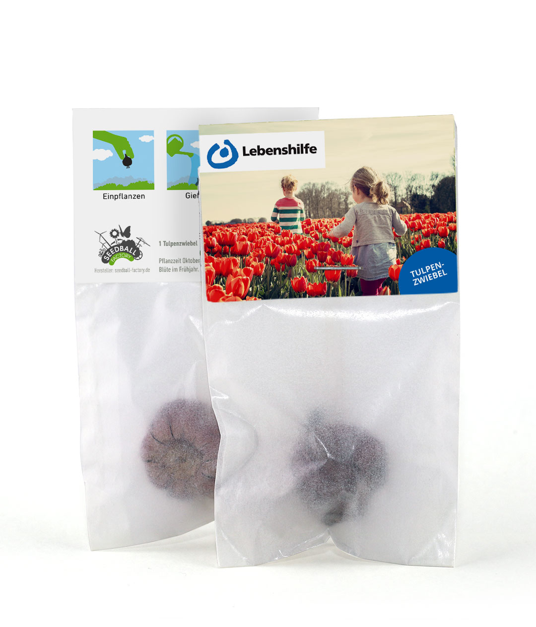 Samenkugeln im Weihnachtsdesign