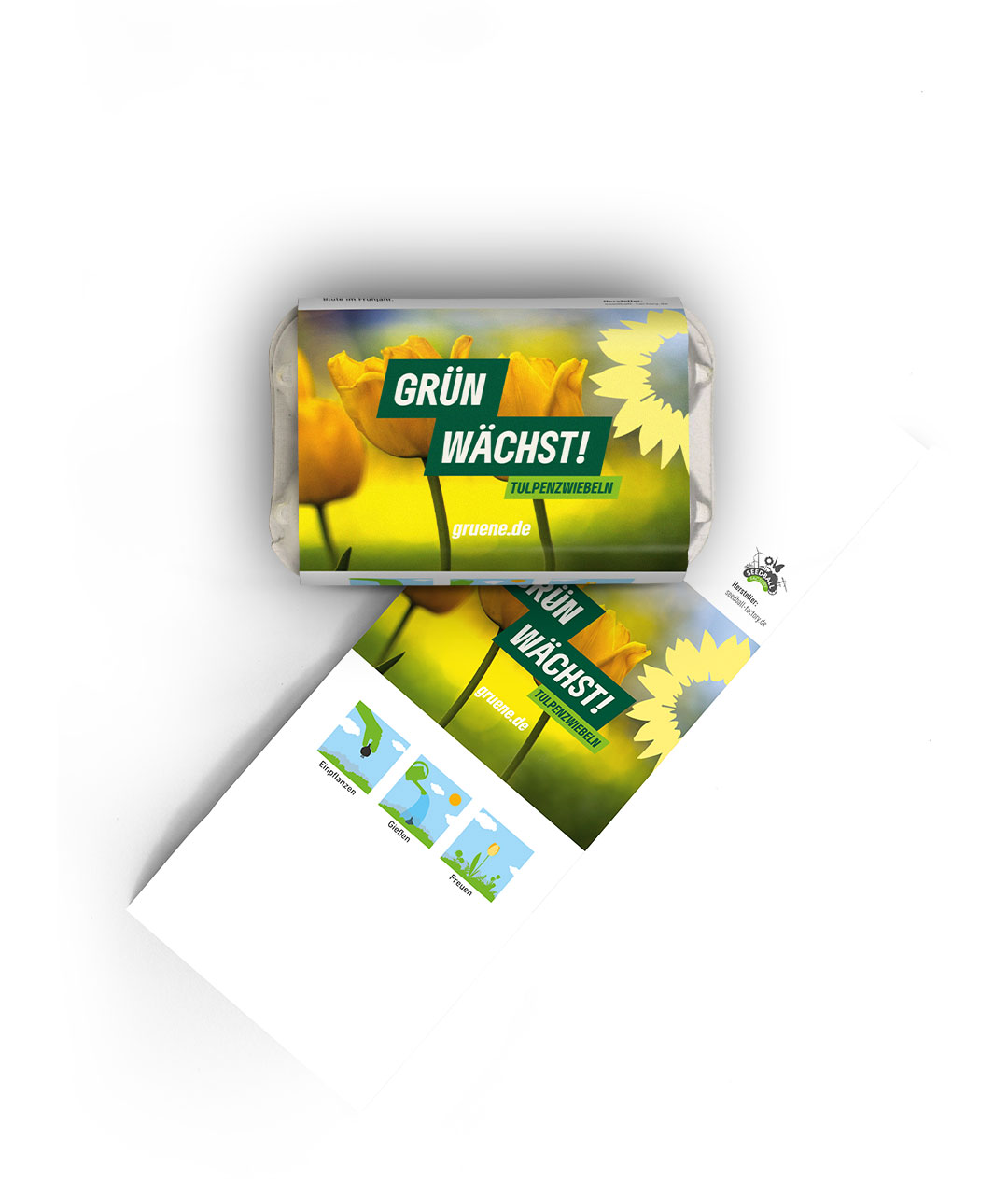 6 Tulpenzwiebeln im Mini-Eierkarton - Image 3