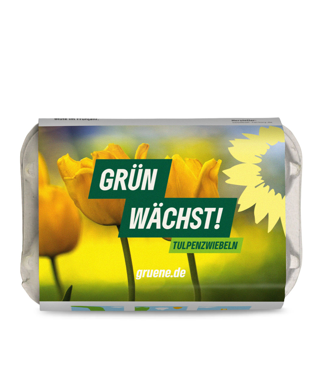 6 Tulpenzwiebeln im Mini-Eierkarton