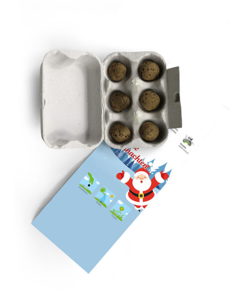 Seedballs im Eierkarton im Weihnachtsdesign