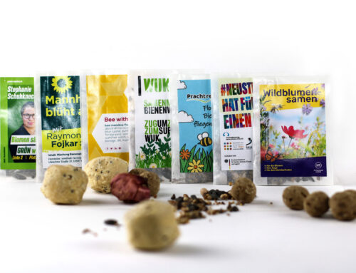 Gift with Impact: Seedballs as Alternative Wedding or Event Giveaways