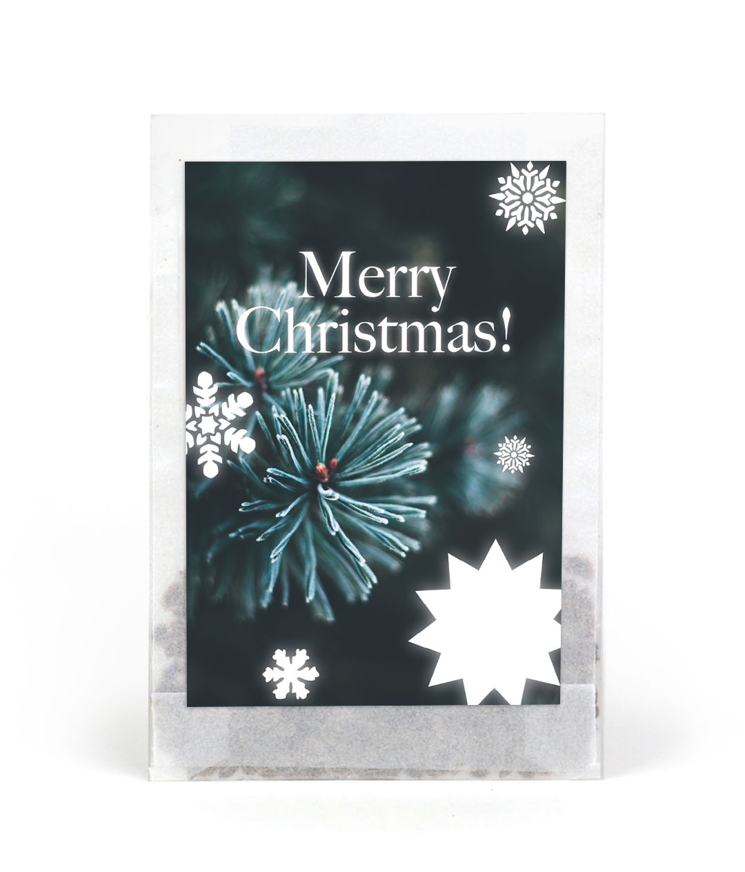 Bee Meadow Merry Christmas 3 – Seed Packets Without Custom Print