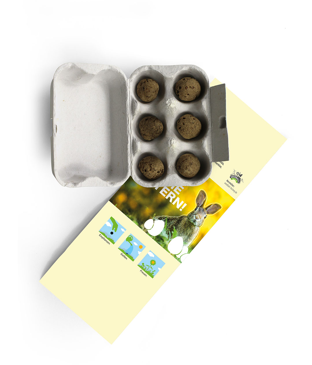 6 Samenkugeln im Mini-Eierkarton (Ostern 1) - Image 4