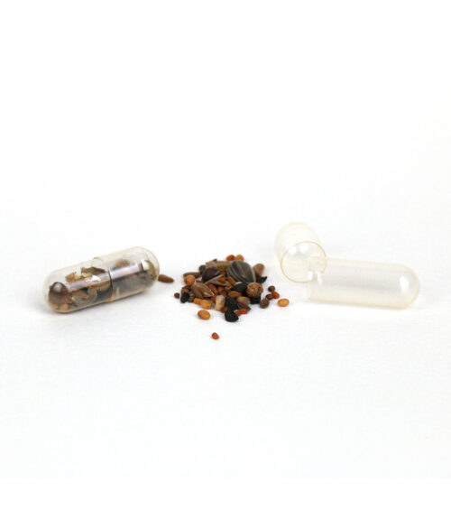 Seed Capsule