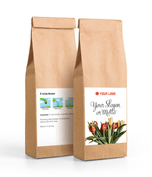 5 Flower Bulbs Tulip