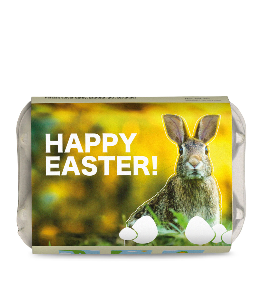 6 Seed Balls in Mini Egg Carton (Easter 1)